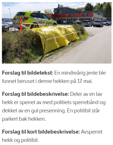 Skjermdump fra NRK av et bilde med forslag til bildetekst, beskrivelse og kort beskrivelse