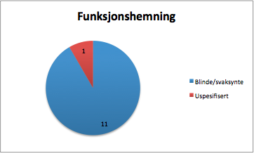 [Bilde: Diagram Funksjonshemning]